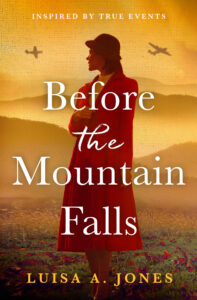 Book cover Before the Mountain Falls by Luisa A Jones